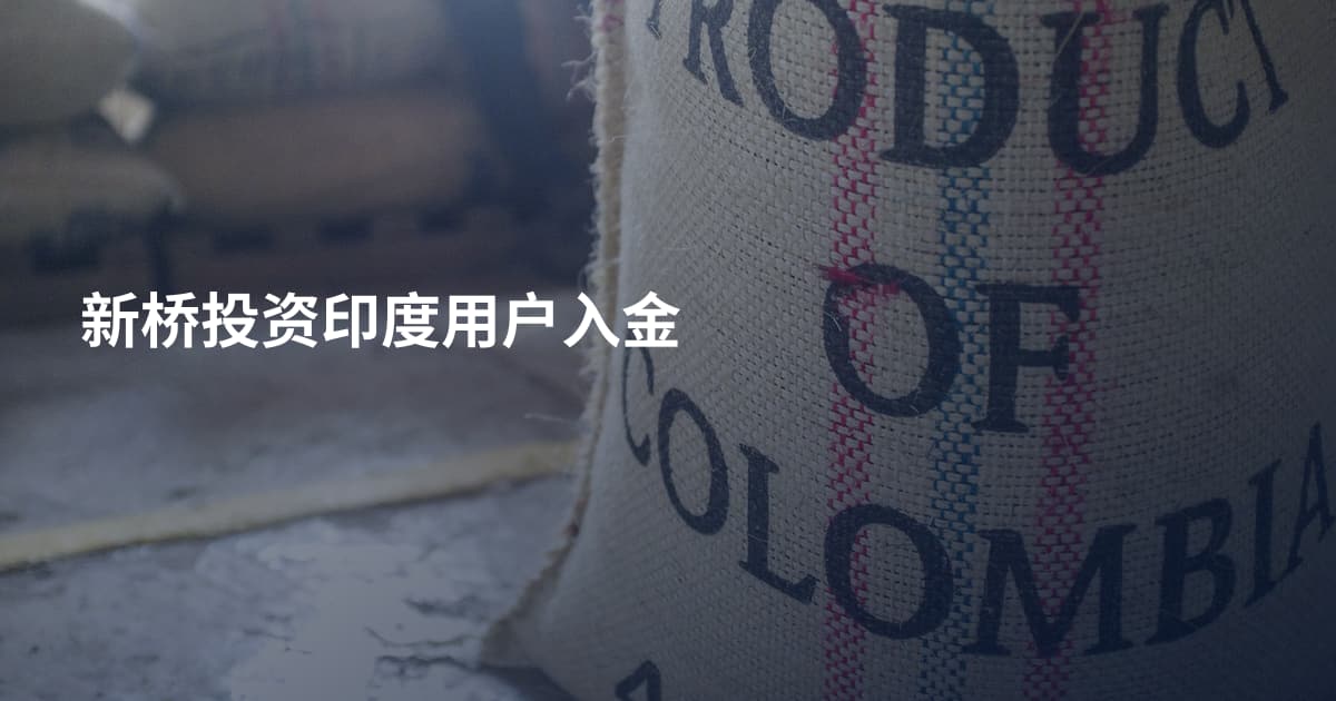 新桥投资印度用户入金