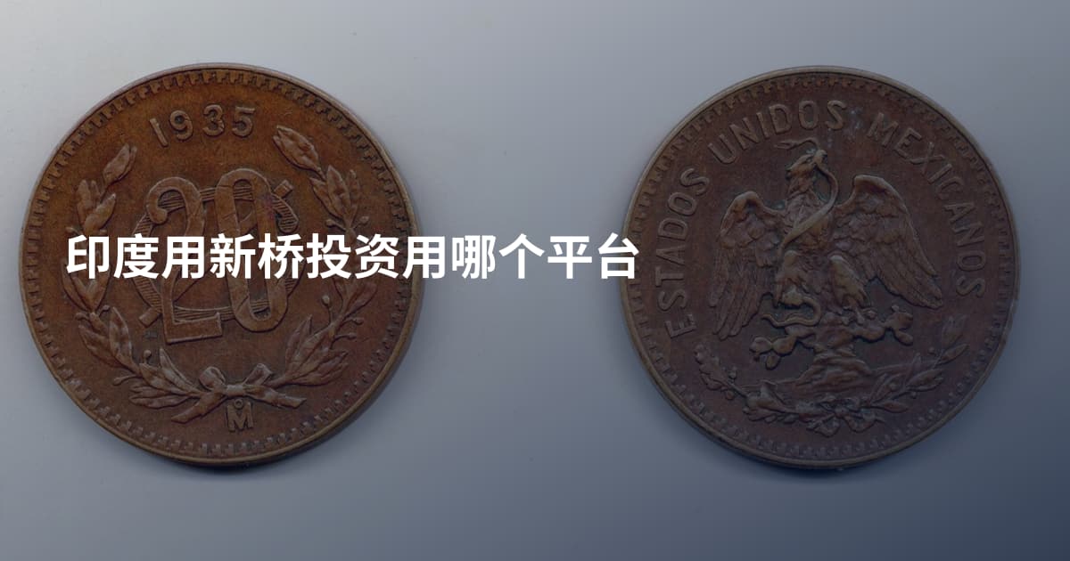 印度用新桥投资用哪个平台