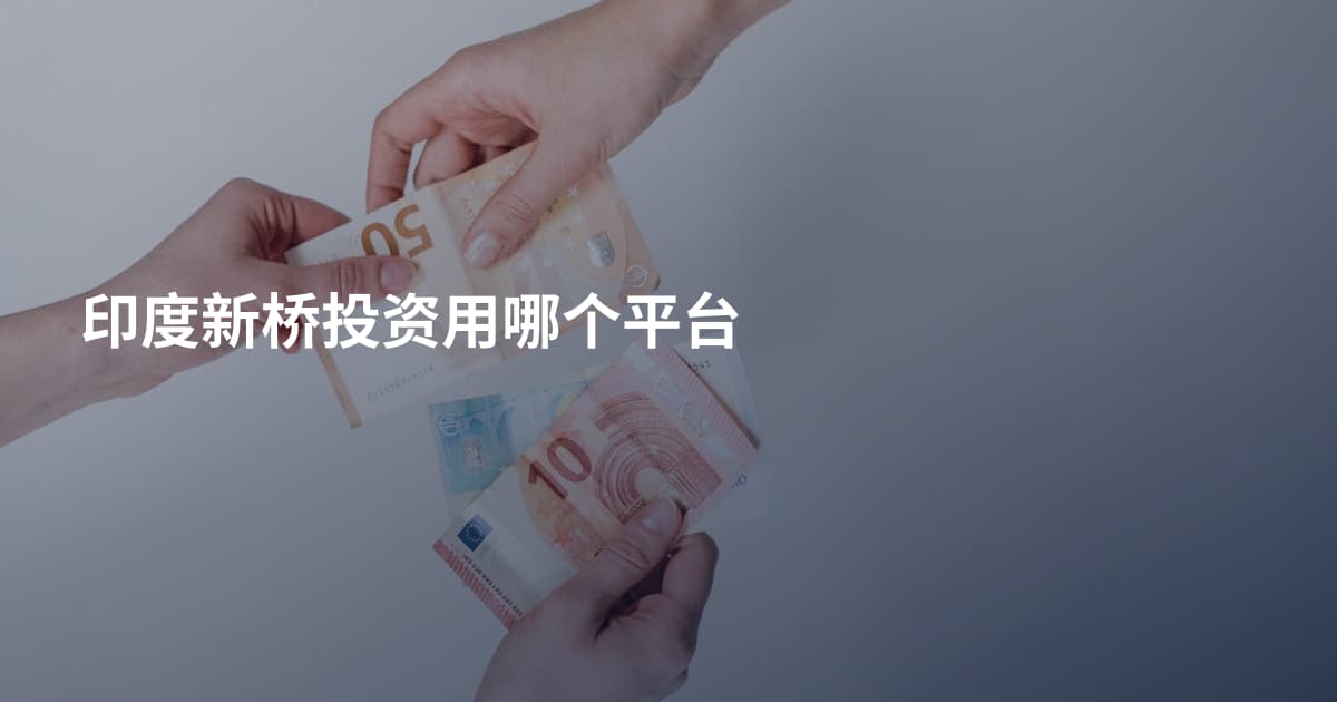 印度新桥投资用哪个平台