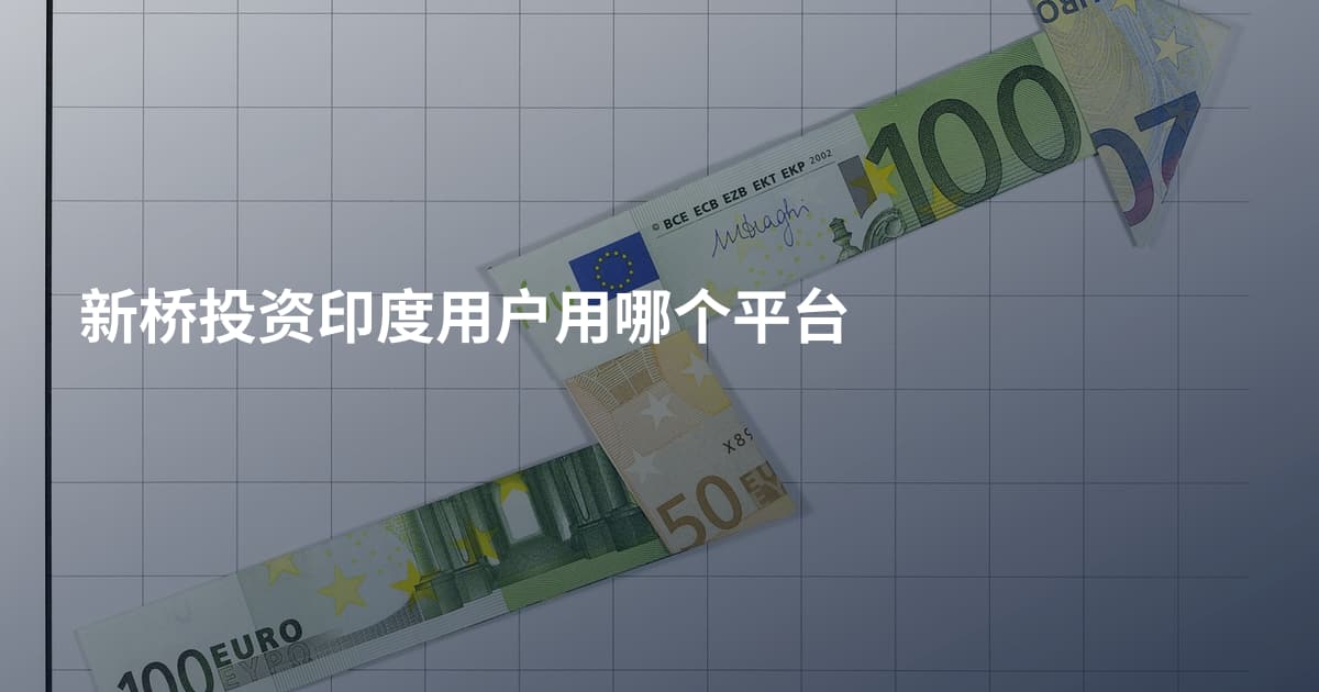 新桥投资印度用户用哪个平台