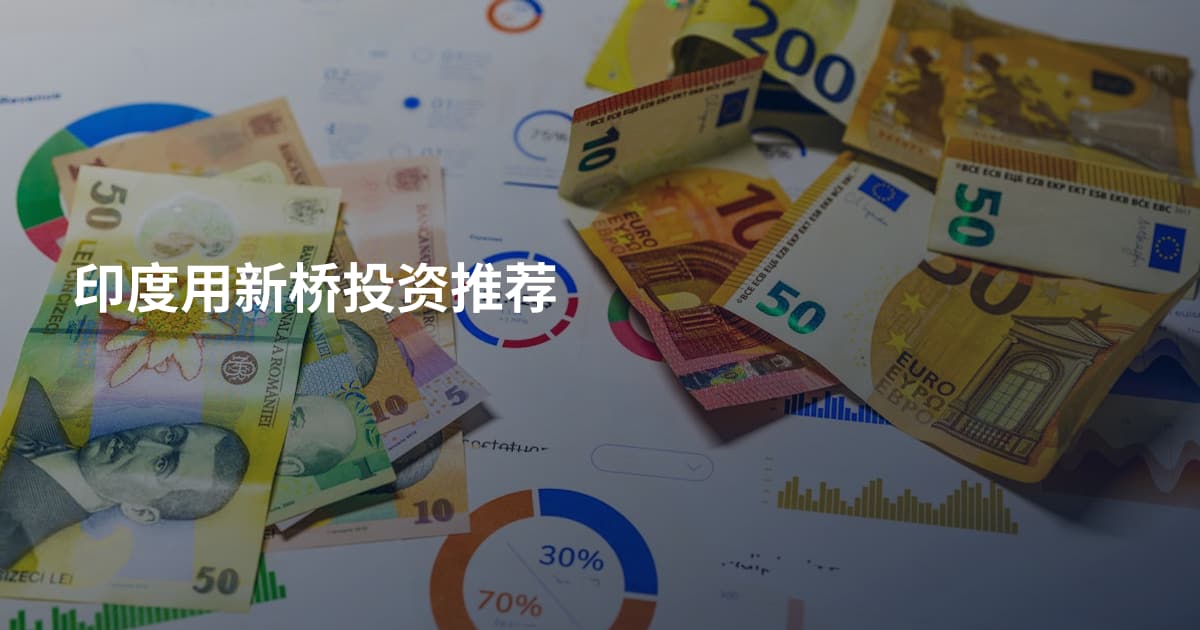 印度用新桥投资推荐