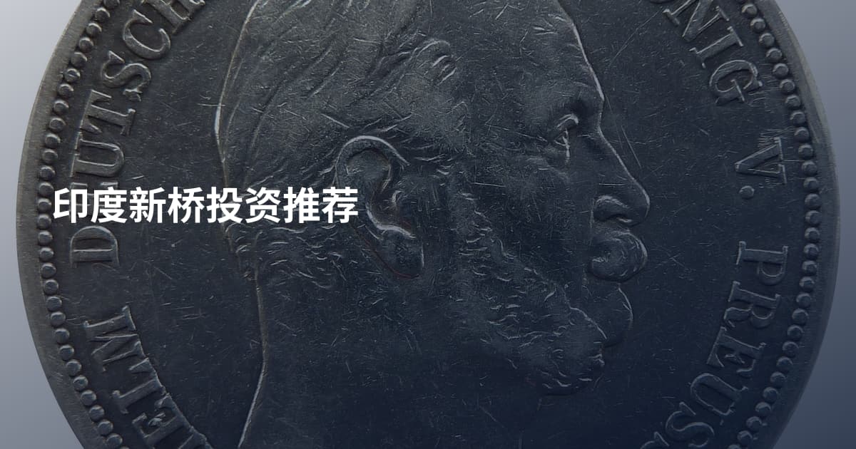 印度新桥投资推荐