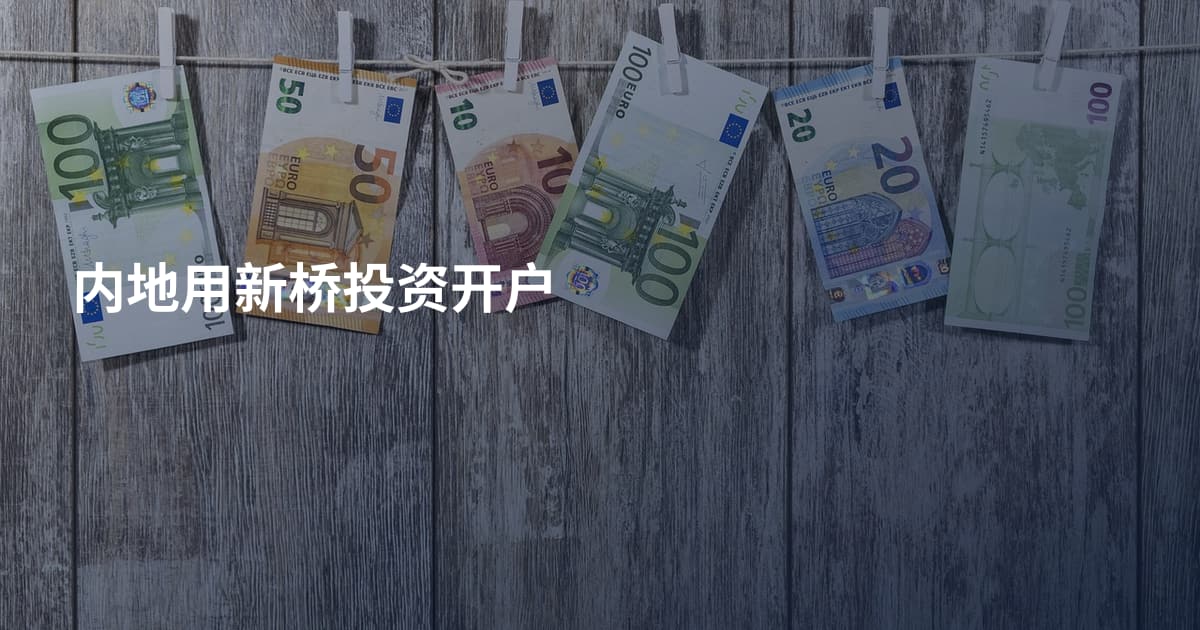 内地用新桥投资开户