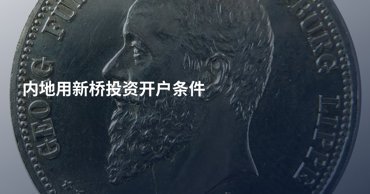 内地用新桥投资开户条件