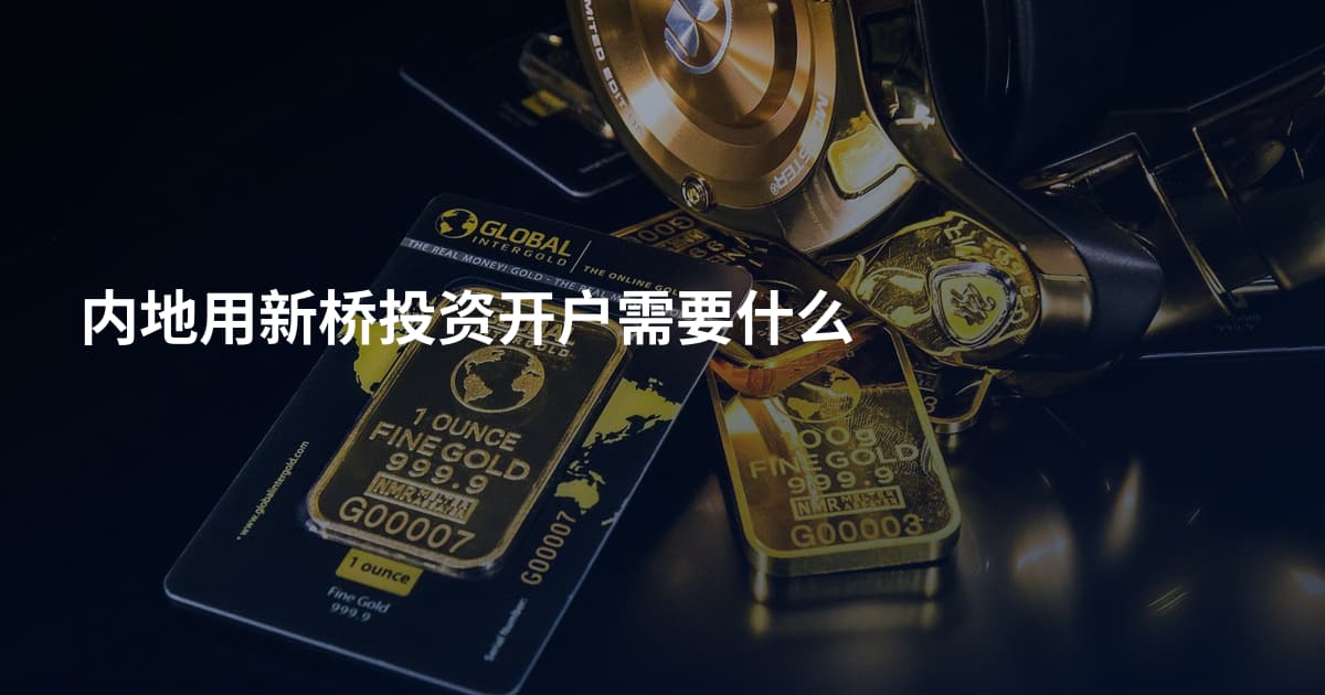 内地用新桥投资开户需要什么
