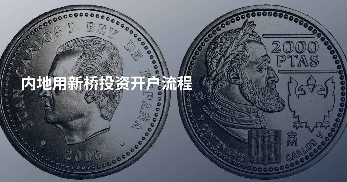 内地用新桥投资开户流程