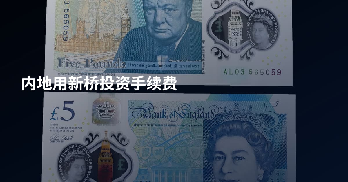 内地用新桥投资手续费