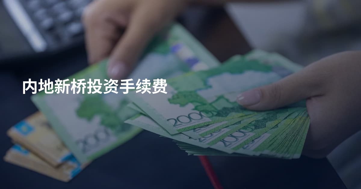内地新桥投资手续费