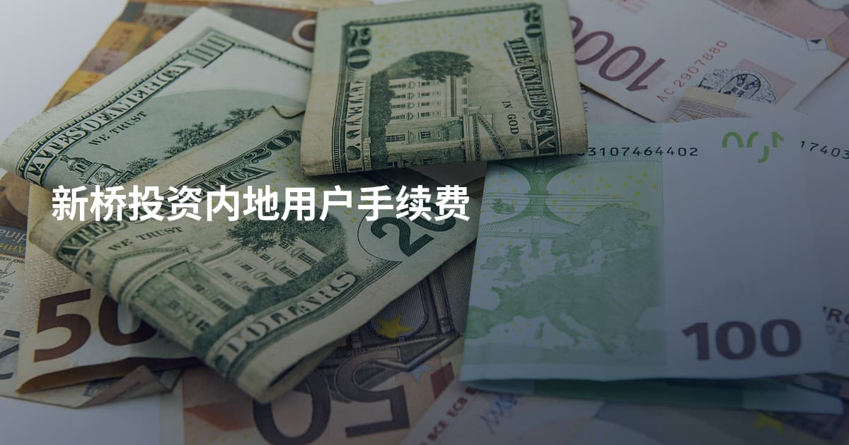 新桥投资内地用户手续费