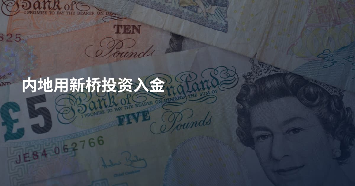 内地用新桥投资入金
