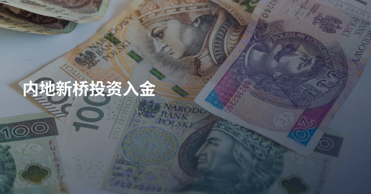 内地新桥投资入金