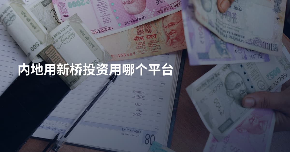内地用新桥投资用哪个平台