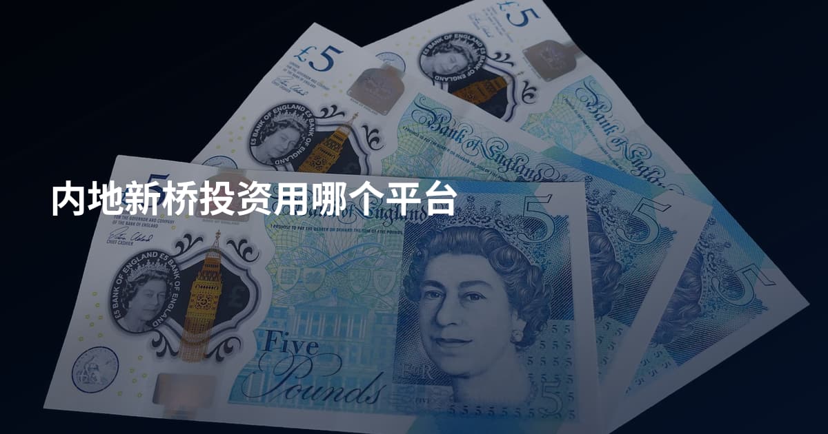 内地新桥投资用哪个平台