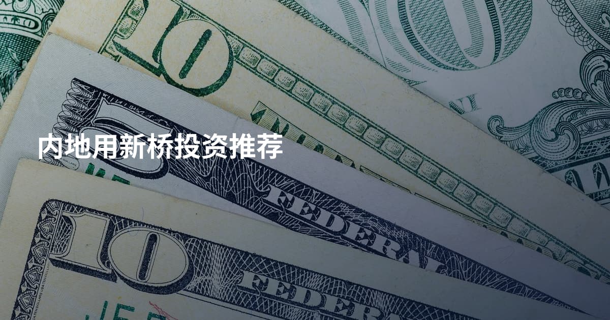 内地用新桥投资推荐