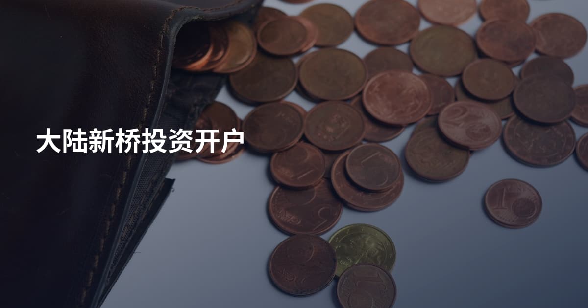 大陆新桥投资开户