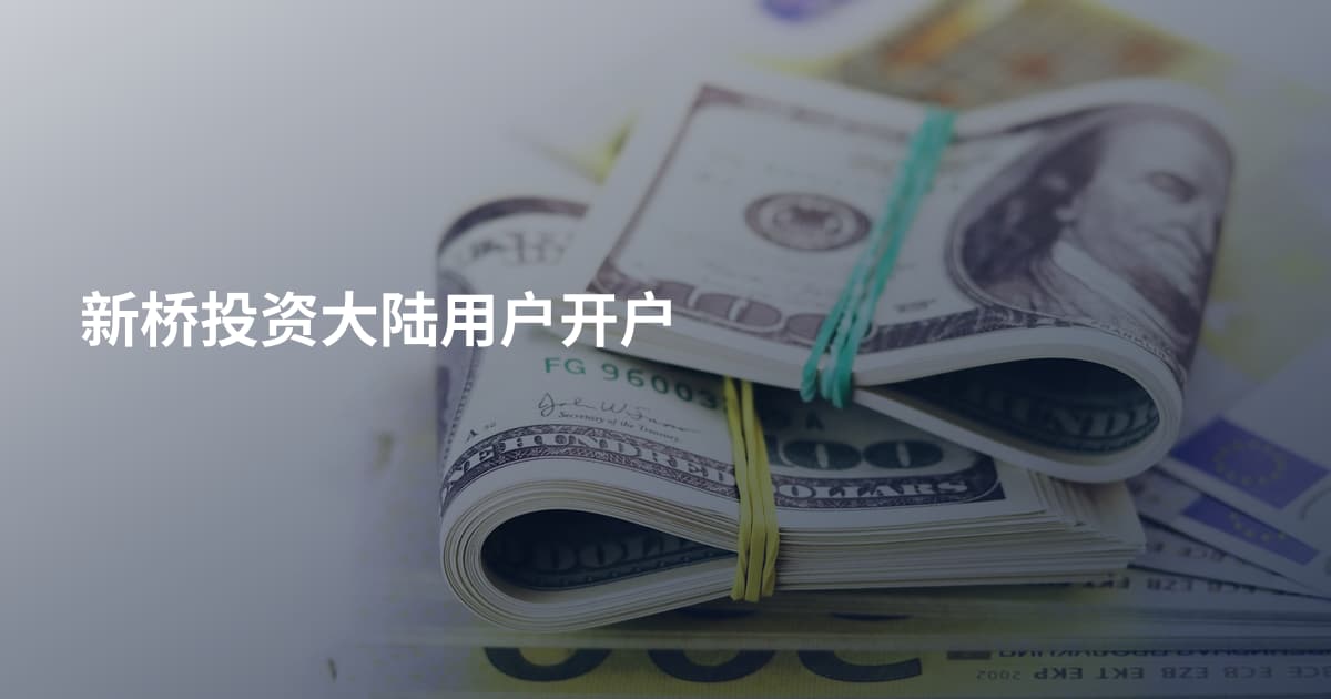 新桥投资大陆用户开户