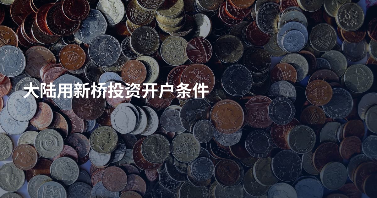 大陆用新桥投资开户条件