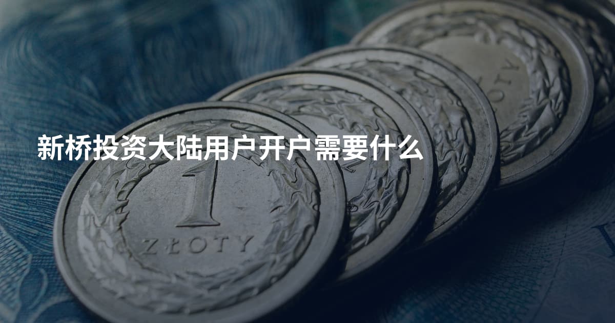 新桥投资大陆用户开户需要什么