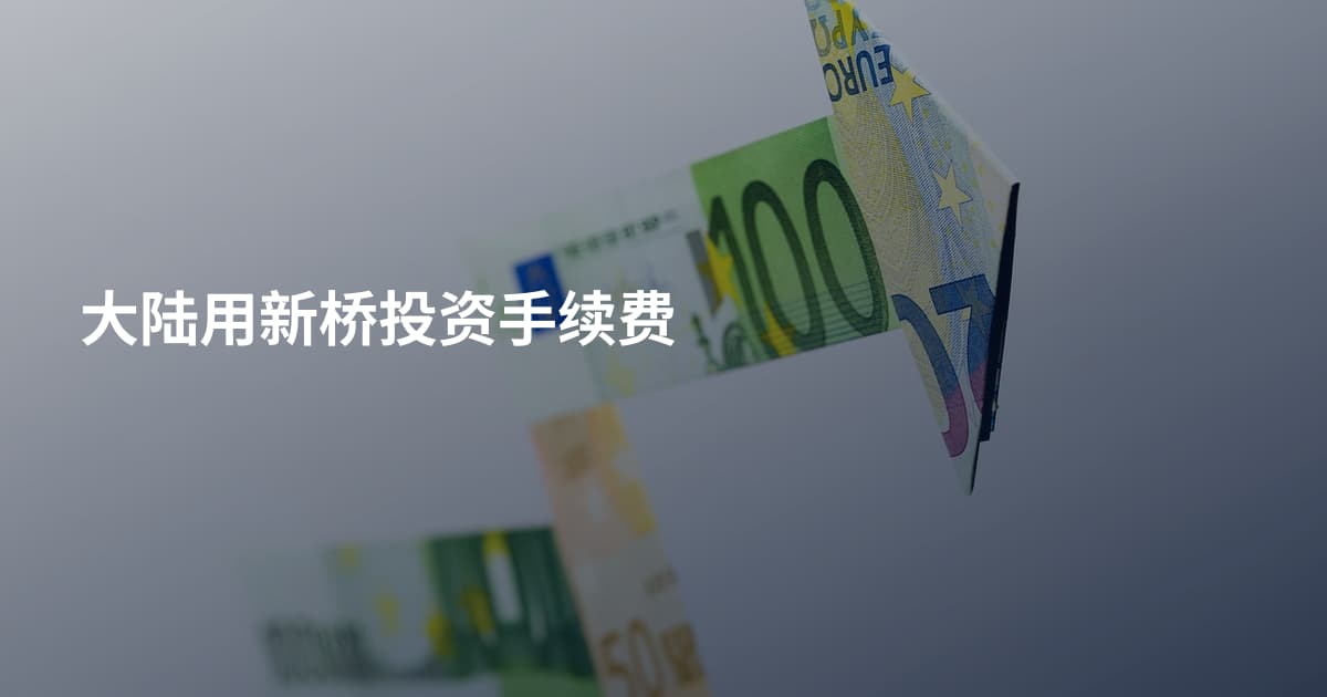 大陆用新桥投资手续费