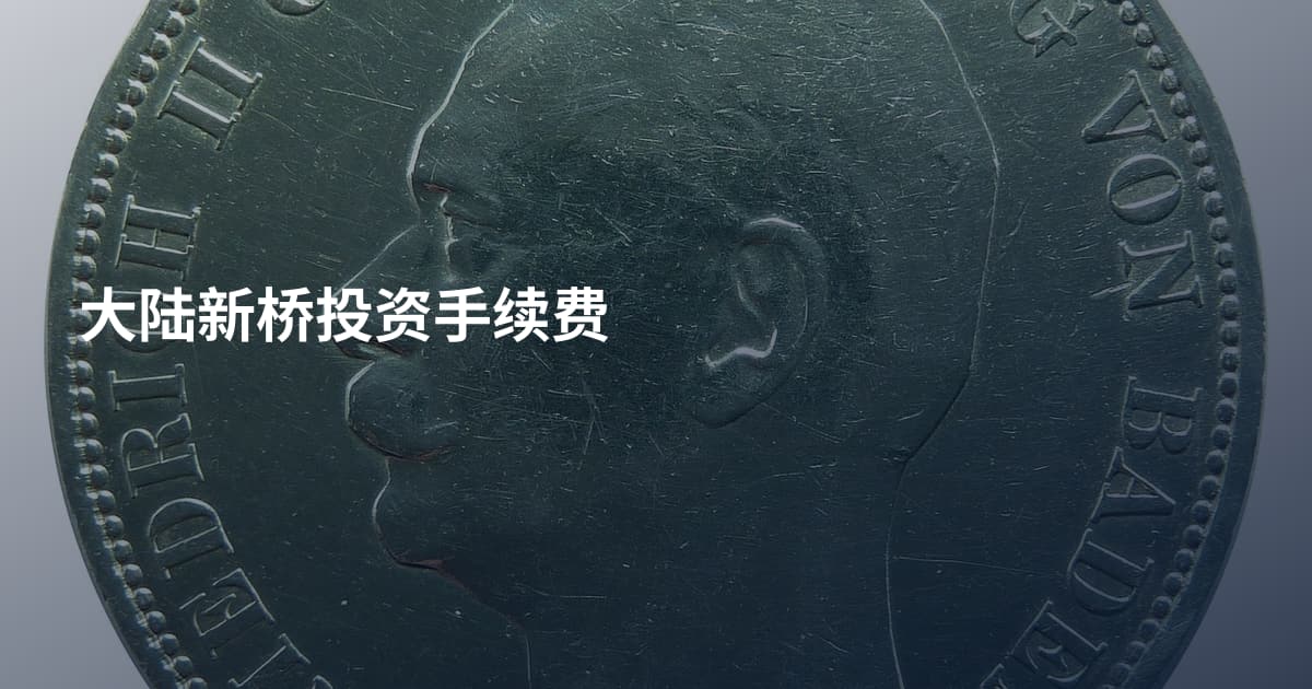 大陆新桥投资手续费