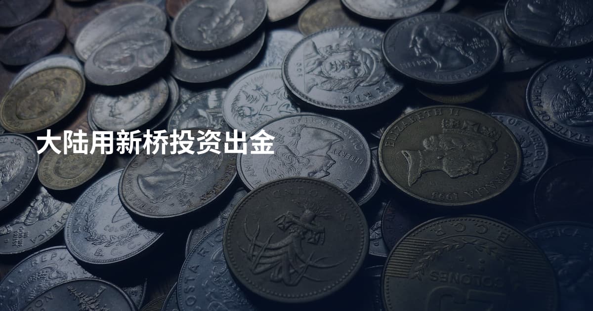 大陆用新桥投资出金