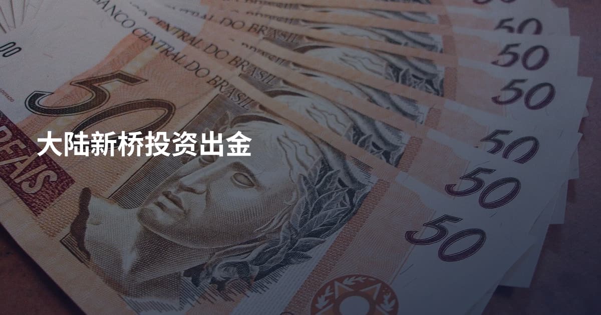 大陆新桥投资出金