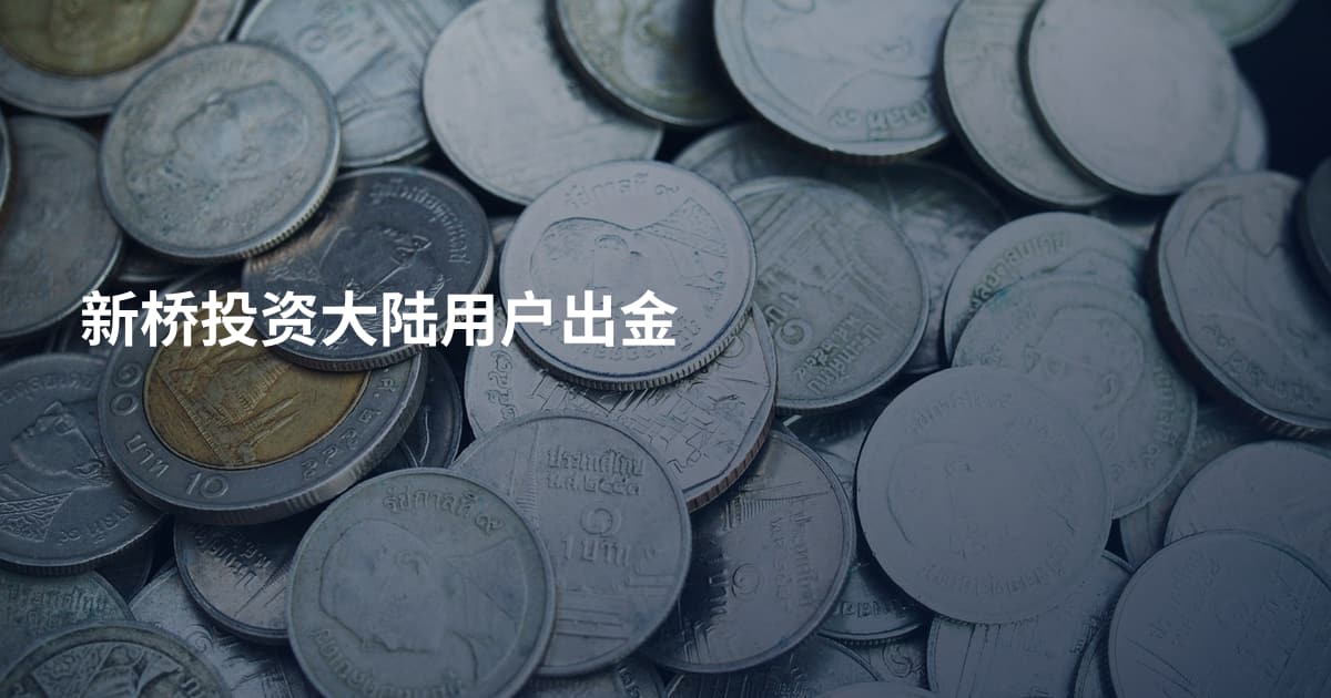 新桥投资大陆用户出金