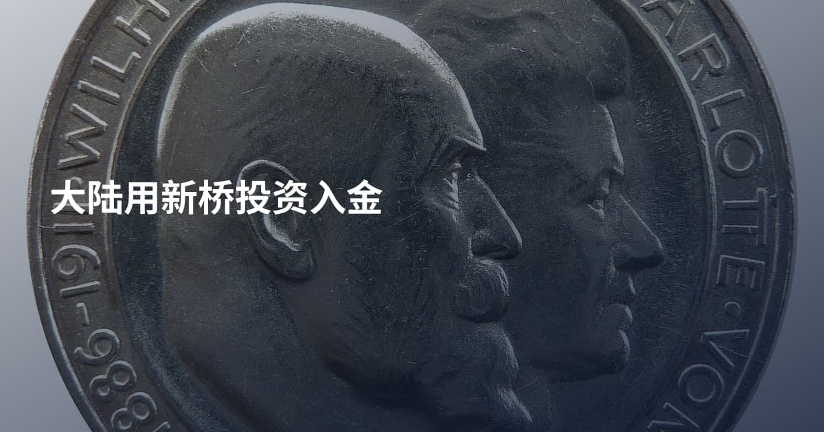 大陆用新桥投资入金