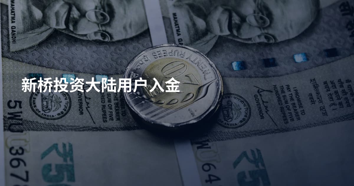 新桥投资大陆用户入金