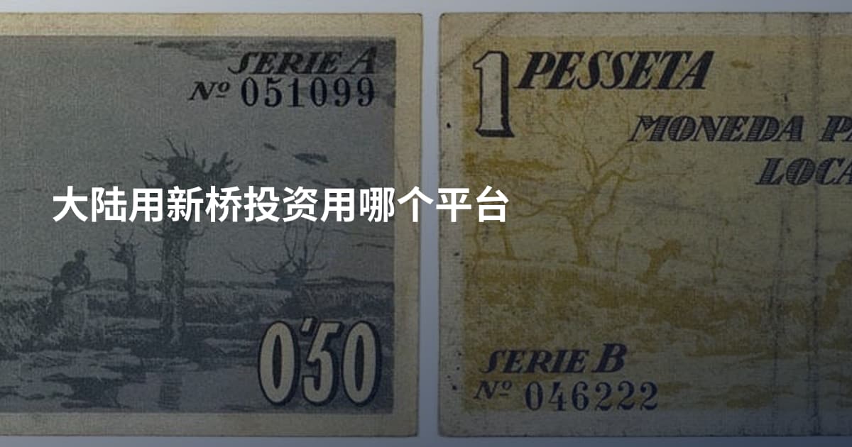 大陆用新桥投资用哪个平台