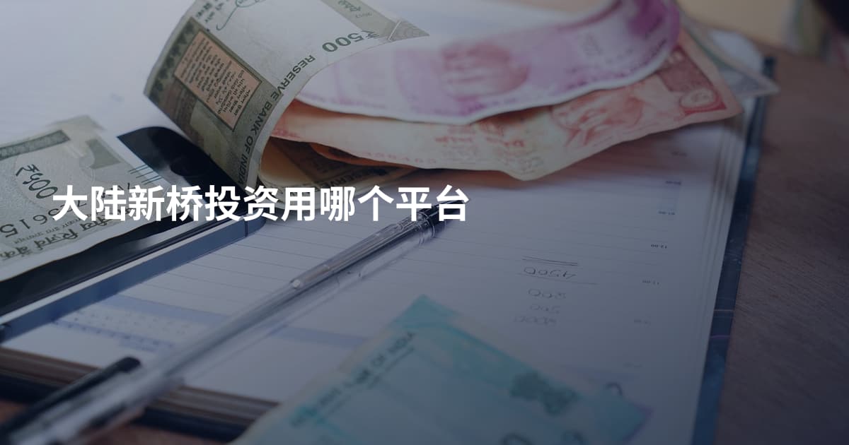 大陆新桥投资用哪个平台