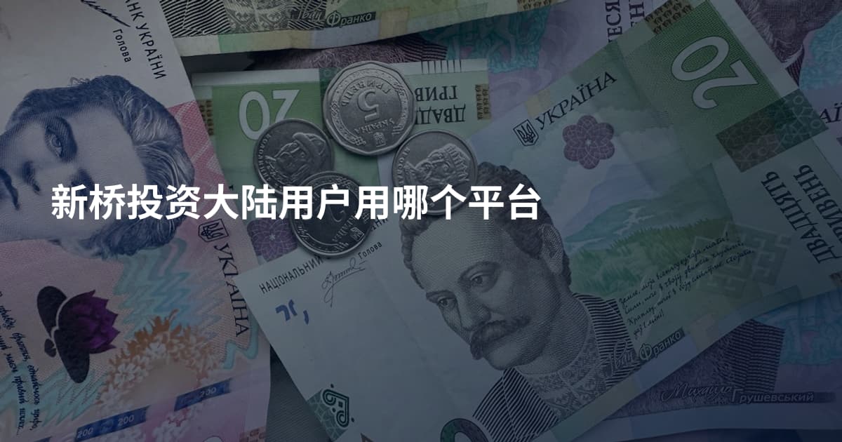 新桥投资大陆用户用哪个平台