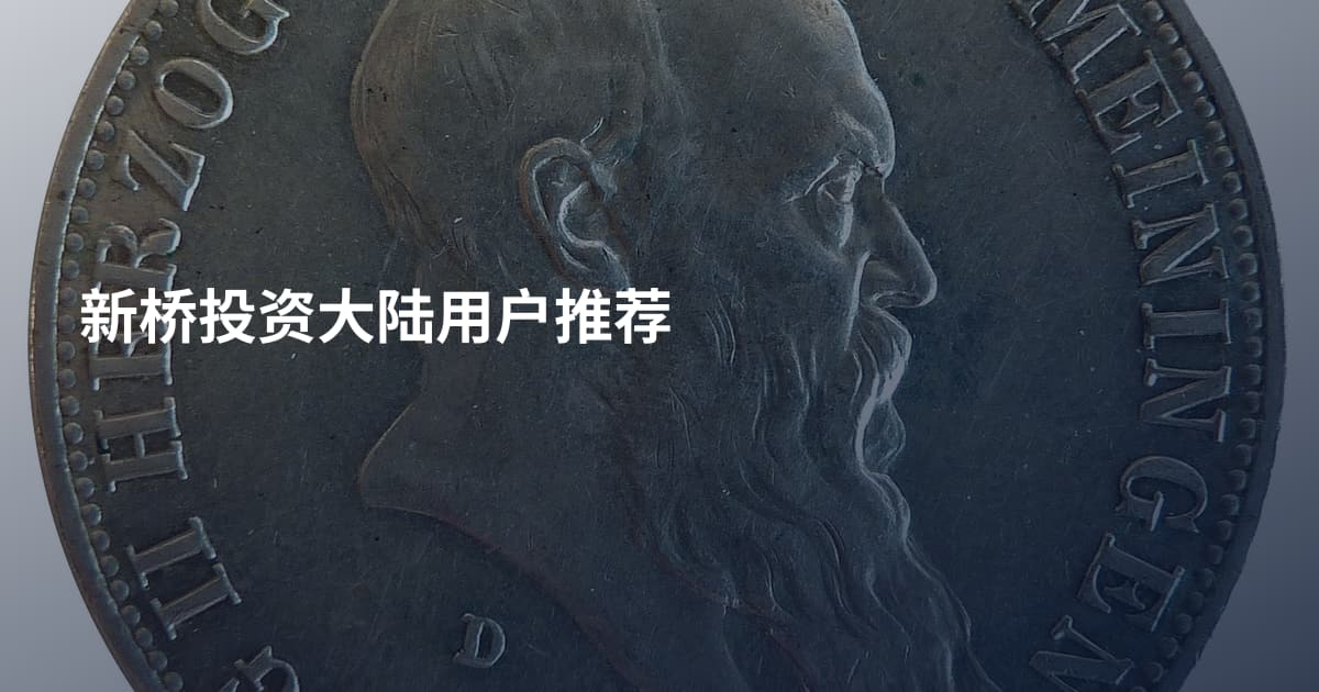 新桥投资大陆用户推荐