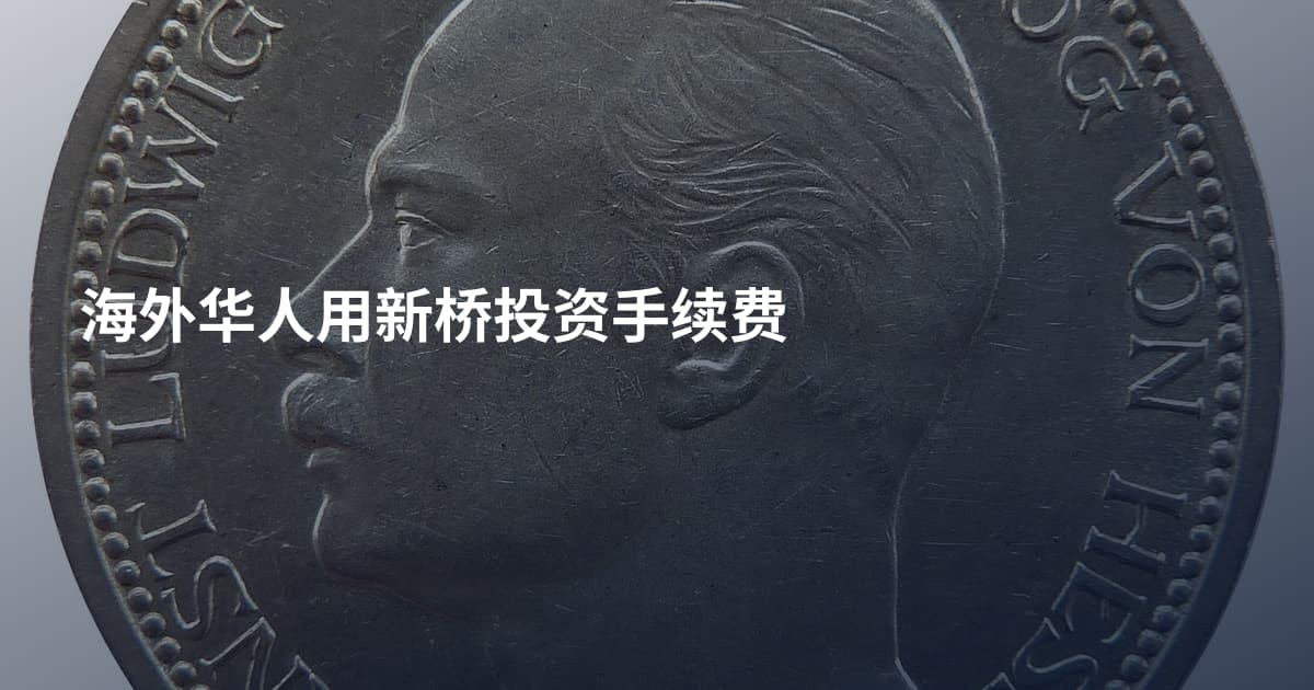 海外华人用新桥投资手续费