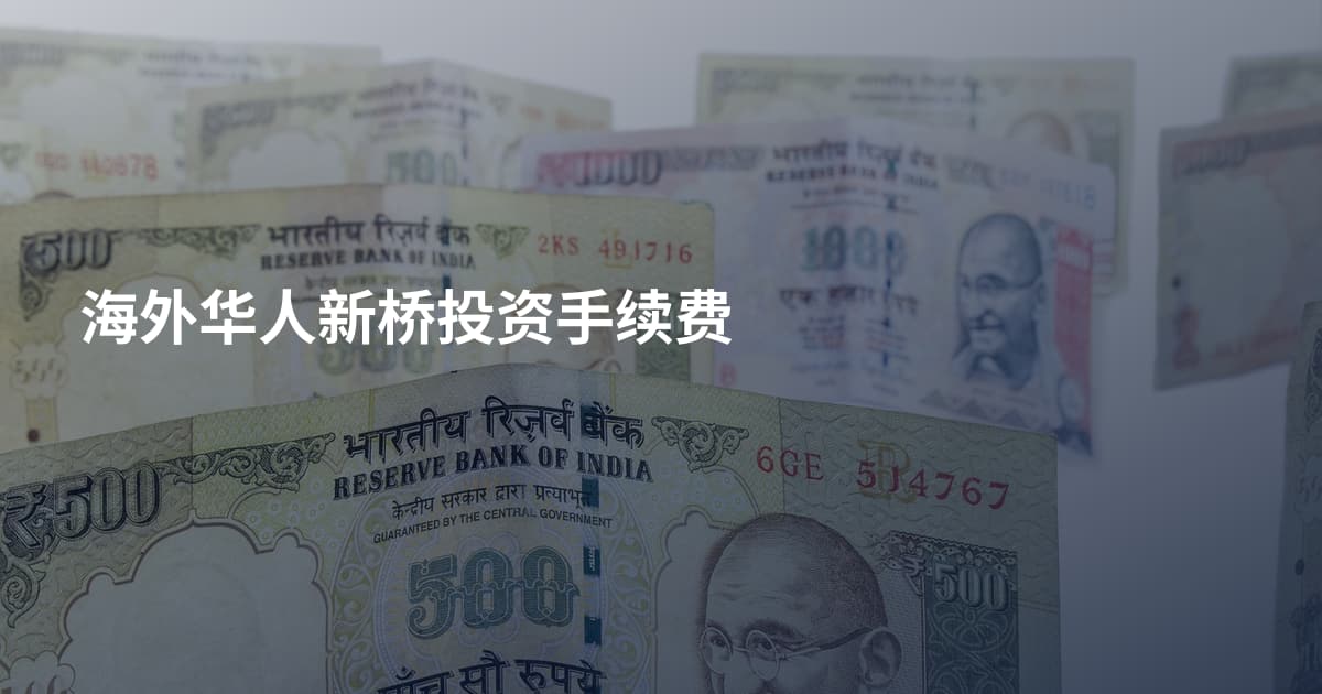 海外华人新桥投资手续费