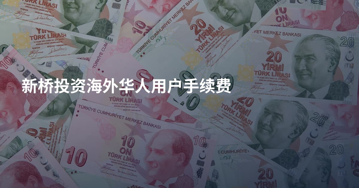 新桥投资海外华人用户手续费