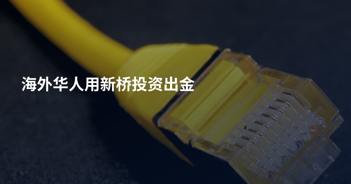 海外华人用新桥投资出金