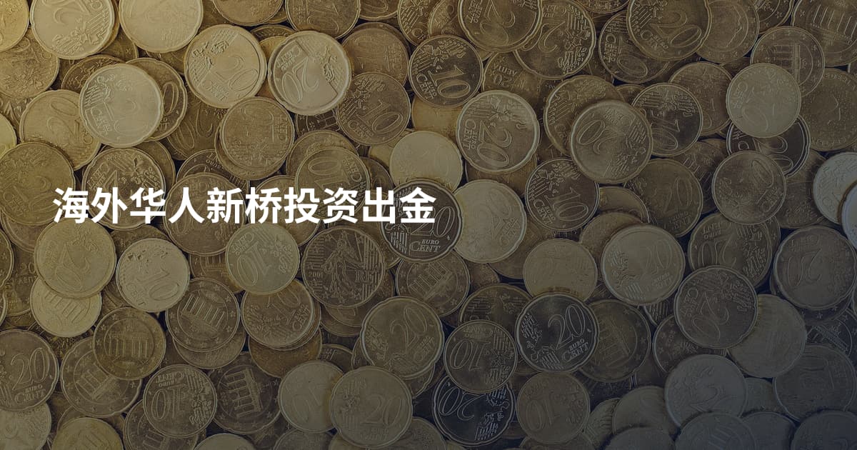 海外华人新桥投资出金