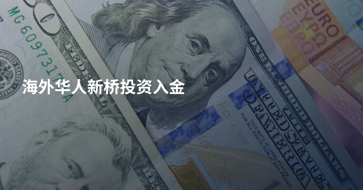 海外华人新桥投资入金