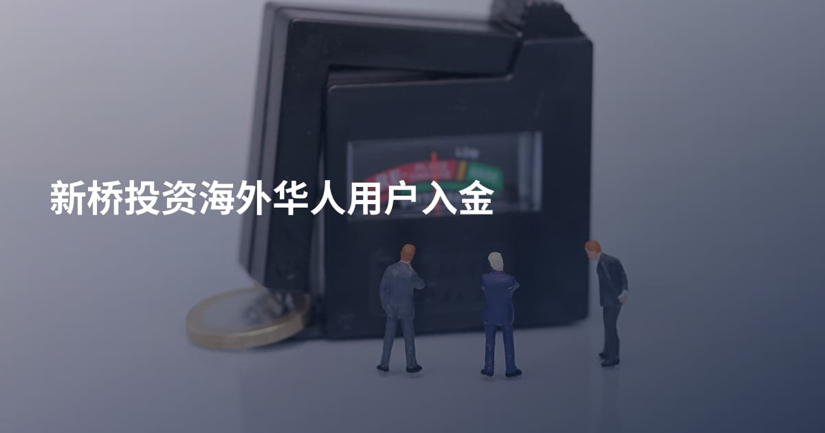新桥投资海外华人用户入金