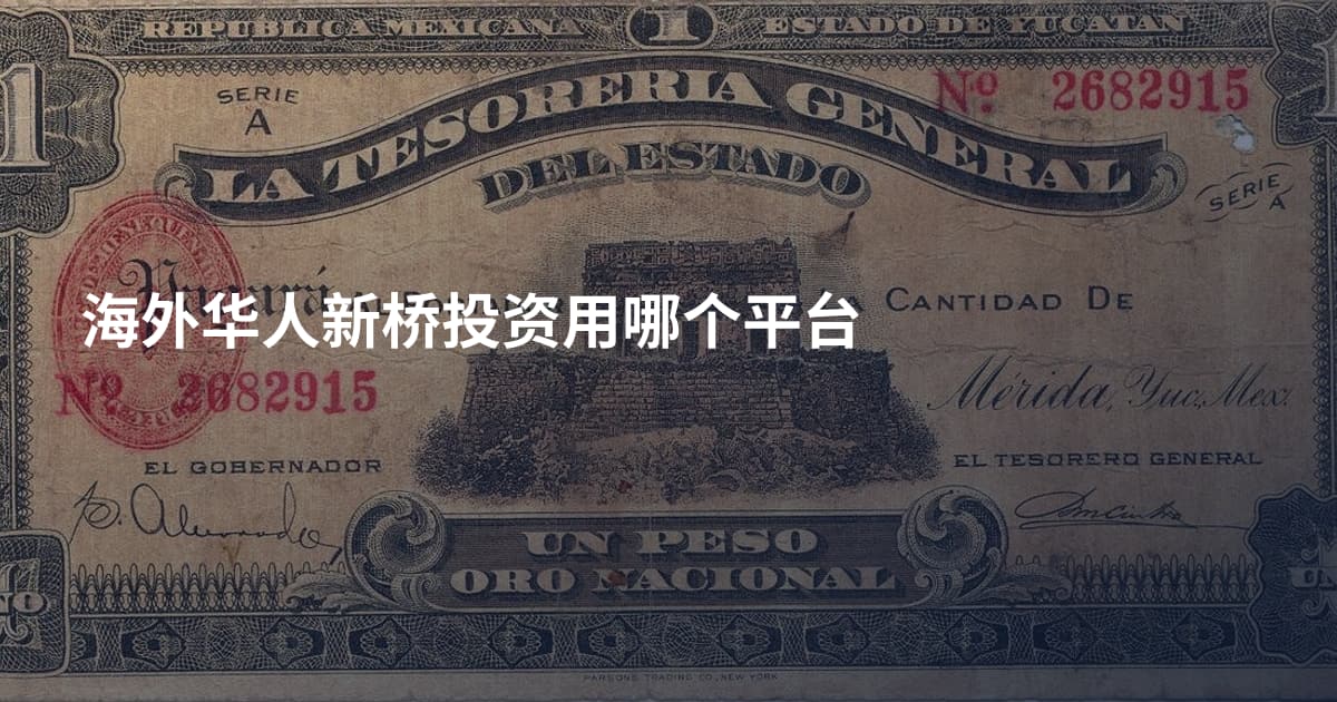 海外华人新桥投资用哪个平台