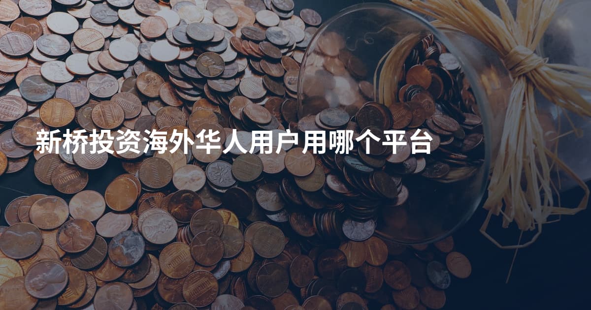 新桥投资海外华人用户用哪个平台