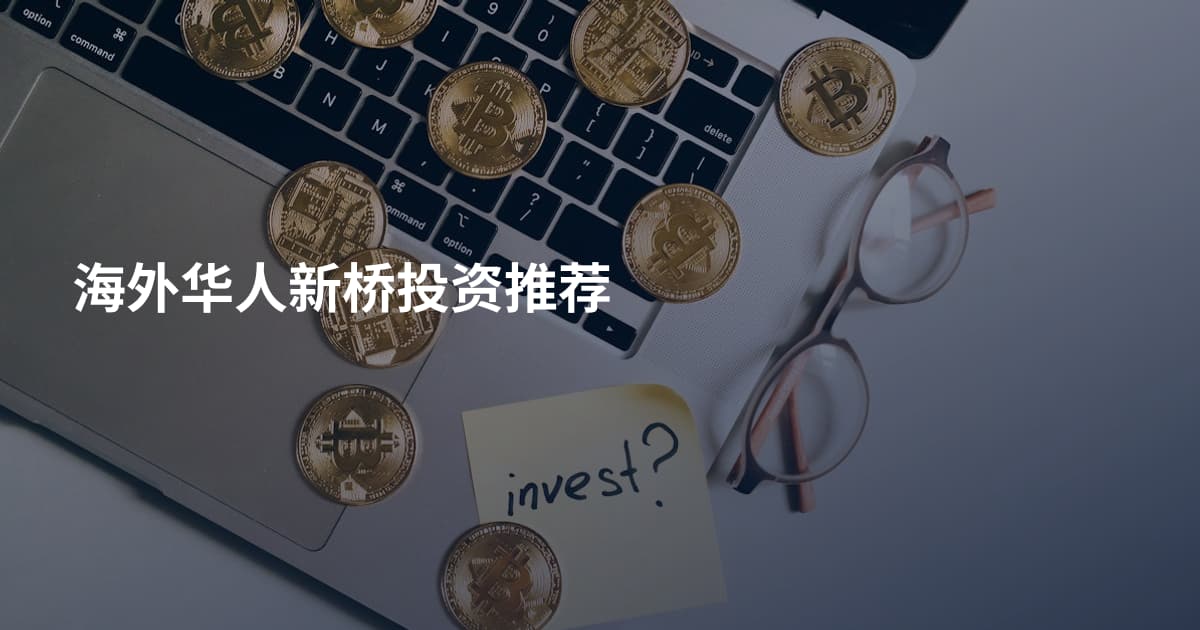 海外华人新桥投资推荐