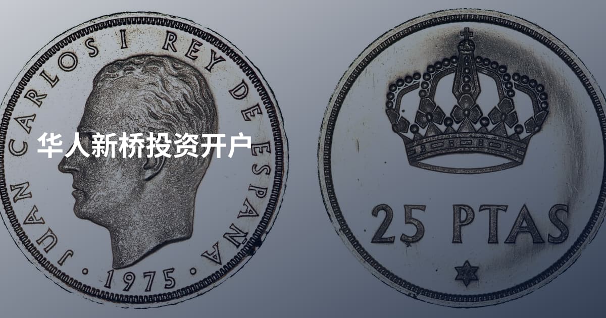华人新桥投资开户
