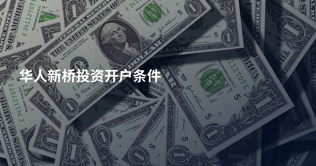 华人新桥投资开户条件