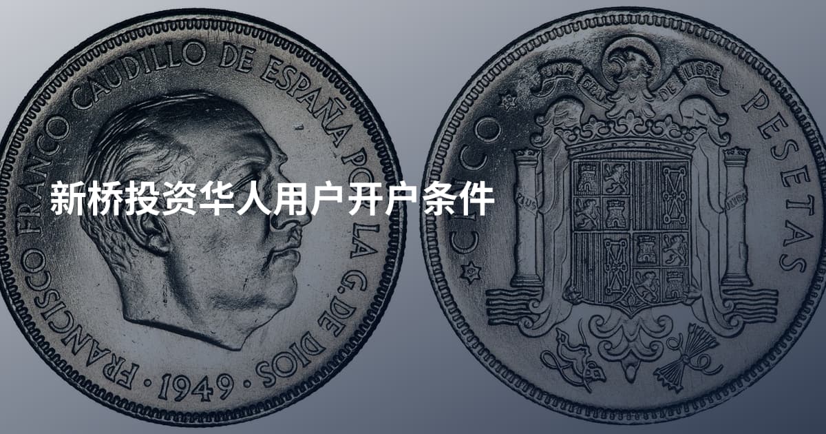 新桥投资华人用户开户条件