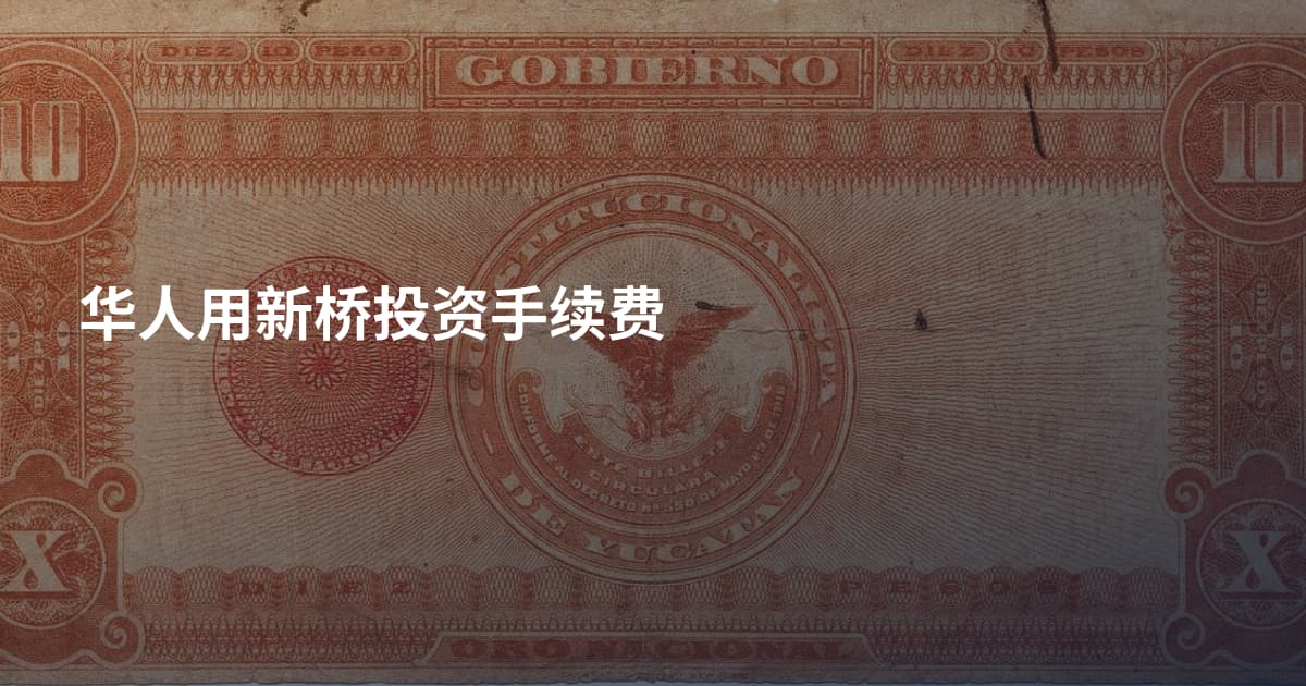 华人用新桥投资手续费