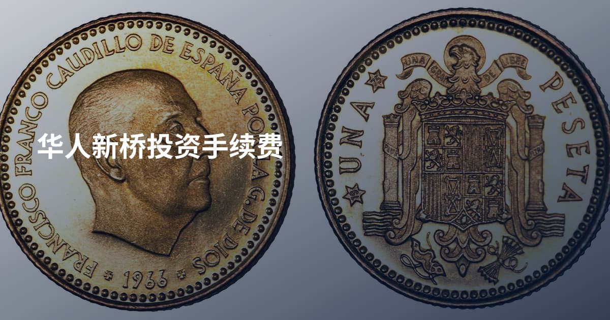 华人新桥投资手续费
