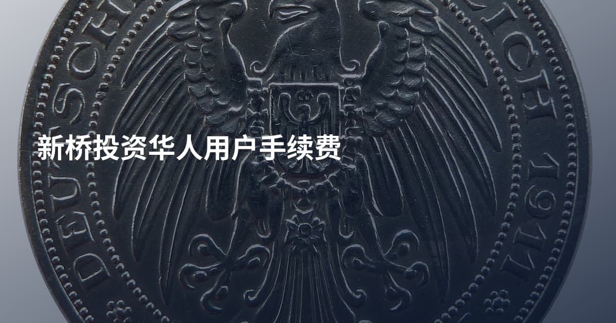 新桥投资华人用户手续费