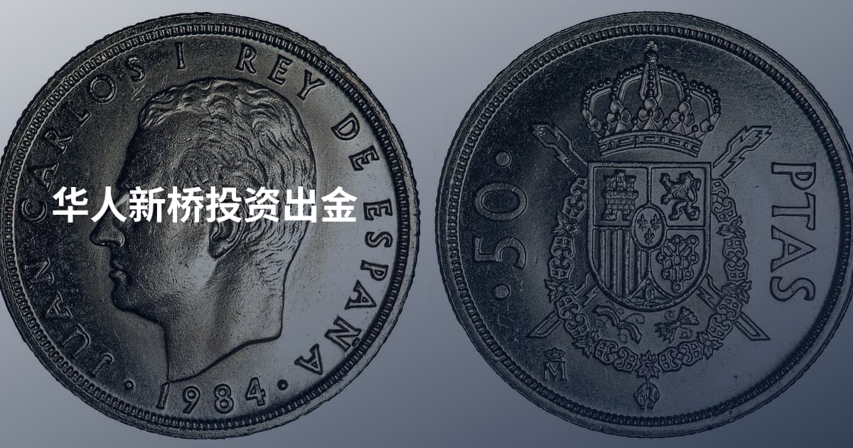 华人新桥投资出金